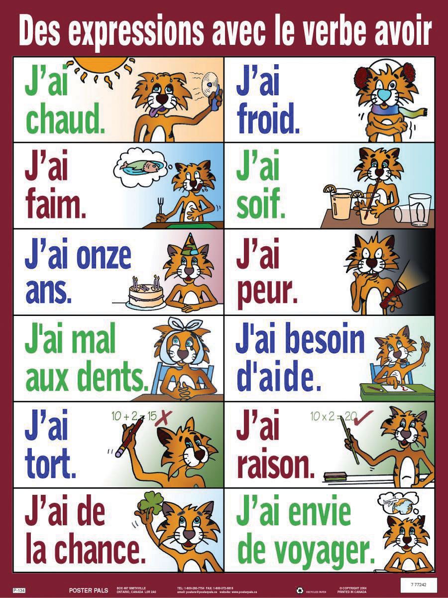 Les Expressions Avec avoir 